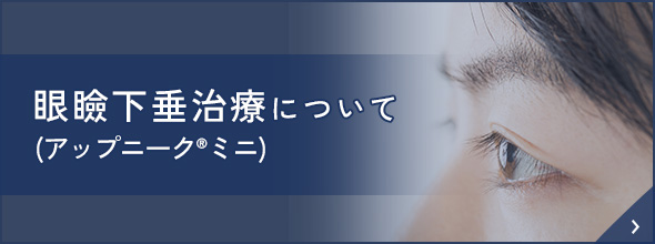 眼瞼下垂治療（アップニークミニ）について