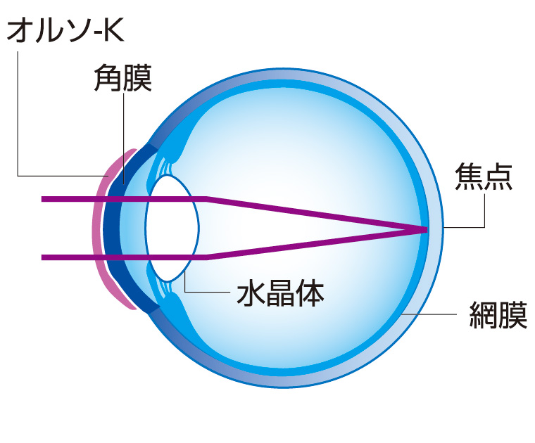 つけている間